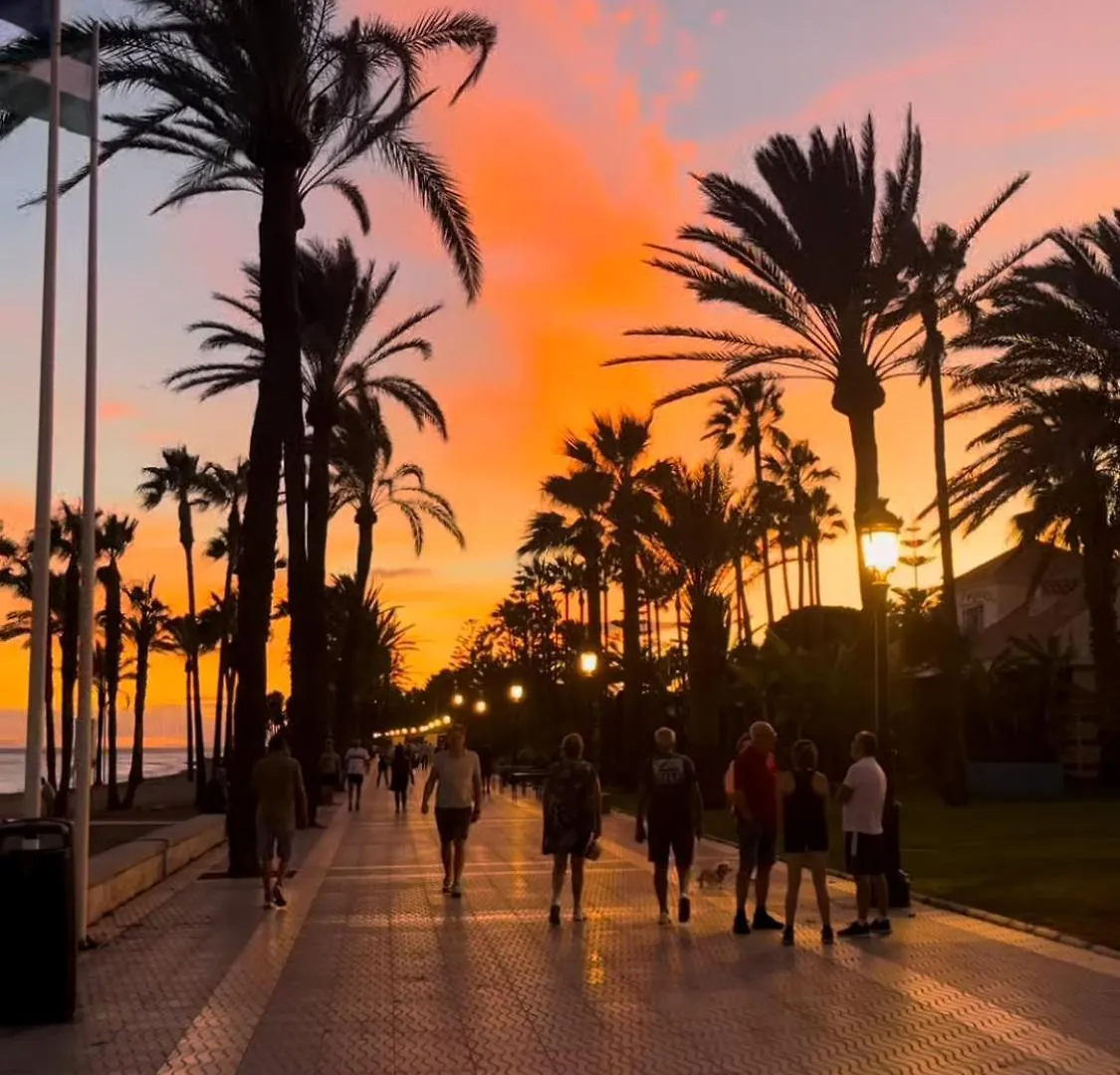 Fantastic Penthouse Malaga Center Apartment